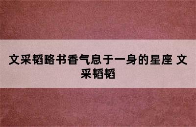 文采韬略书香气息于一身的星座 文采韬韬